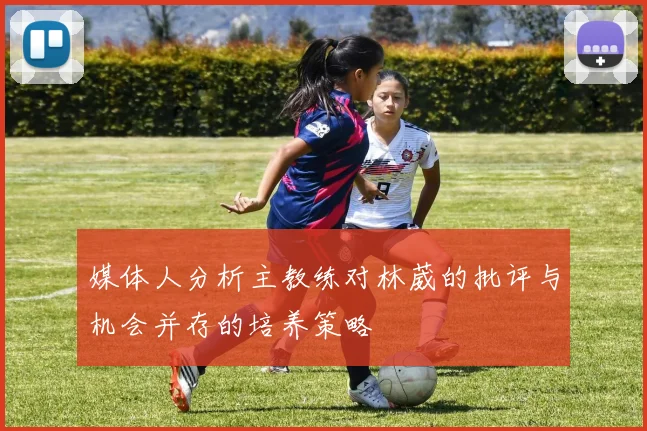 媒体人分析主教练对林葳的批评与机会并存的培养策略