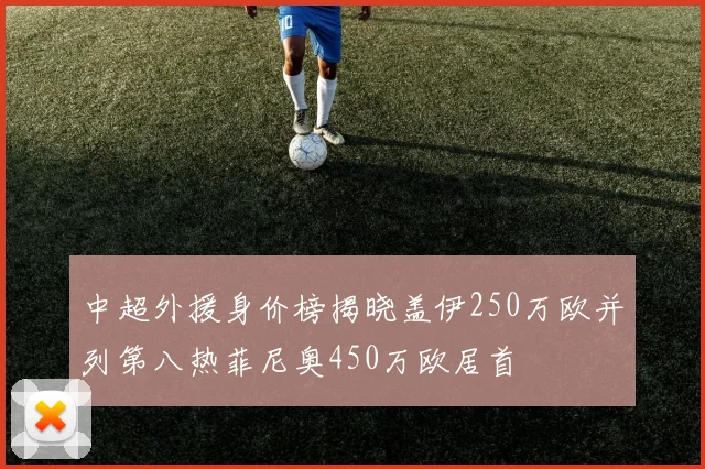中超外援身价榜揭晓盖伊250万欧并列第八热菲尼奥450万欧居首