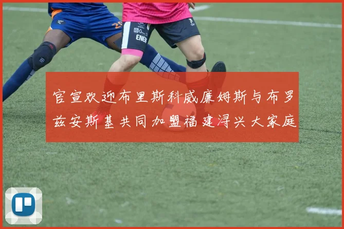 官宣欢迎布里斯科威廉姆斯与布罗兹安斯基共同加盟福建浔兴大家庭